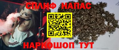 амф Новодвинск
