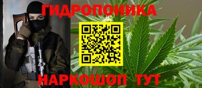 амф Новодвинск