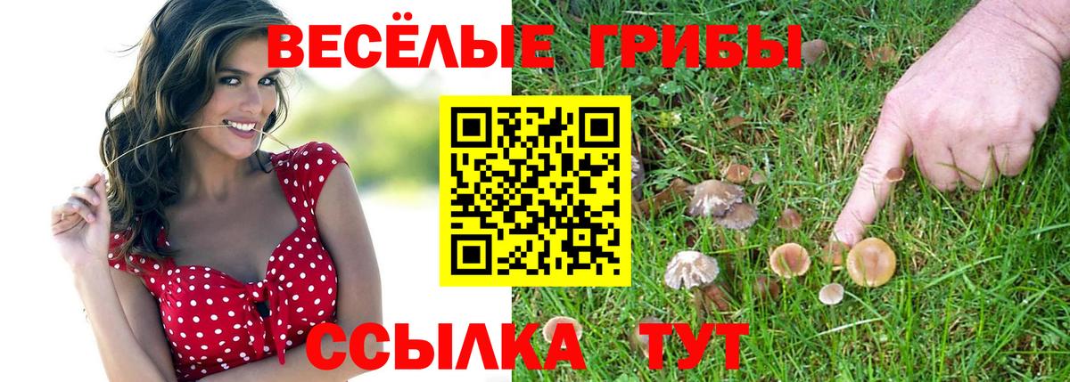 Галлюциногенные грибы GOLDEN TEACHER  Вход с VPN  Галлюциногенные грибы ЛСД  Рославль 